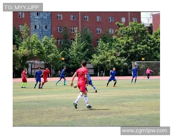 上海排球队边路渗透战术解析与深度剖析